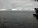 ./images/koeye/fitz-hugh/20200903/fitz-hugh20200903_154001.jpg