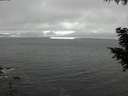 ./images/koeye/fitz-hugh/20200903/fitz-hugh20200903_154501.jpg