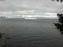 ./images/koeye/fitz-hugh/20200903/fitz-hugh20200903_155001.jpg