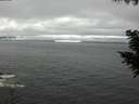./images/koeye/fitz-hugh/20200903/fitz-hugh20200903_160002.jpg