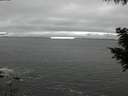 ./images/koeye/fitz-hugh/20200903/fitz-hugh20200903_161002.jpg