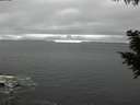 ./images/koeye/fitz-hugh/20200903/fitz-hugh20200903_161502.jpg