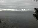 ./images/koeye/fitz-hugh/20200903/fitz-hugh20200903_162002.jpg