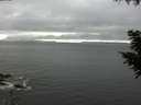 ./images/koeye/fitz-hugh/20200903/fitz-hugh20200903_162502.jpg