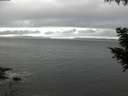 ./images/koeye/fitz-hugh/20200903/fitz-hugh20200903_163502.jpg