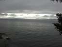./images/koeye/fitz-hugh/20200903/fitz-hugh20200903_164002.jpg