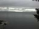 ./images/koeye/fitz-hugh/20200903/fitz-hugh20200903_164502.jpg