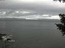 ./images/koeye/fitz-hugh/20200903/fitz-hugh20200903_165002.jpg