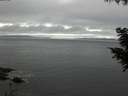 ./images/koeye/fitz-hugh/20200903/fitz-hugh20200903_165502.jpg