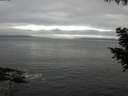 ./images/koeye/fitz-hugh/20200903/fitz-hugh20200903_170502.jpg