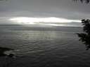 ./images/koeye/fitz-hugh/20200903/fitz-hugh20200903_171001.jpg