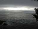 ./images/koeye/fitz-hugh/20200903/fitz-hugh20200903_171501.jpg
