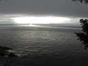 ./images/koeye/fitz-hugh/20200903/fitz-hugh20200903_172001.jpg