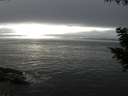 ./images/koeye/fitz-hugh/20200903/fitz-hugh20200903_172501.jpg