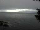 ./images/koeye/fitz-hugh/20200903/fitz-hugh20200903_173501.jpg