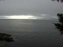 ./images/koeye/fitz-hugh/20200903/fitz-hugh20200903_174001.jpg