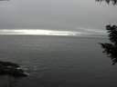 ./images/koeye/fitz-hugh/20200903/fitz-hugh20200903_174501.jpg