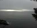 ./images/koeye/fitz-hugh/20200903/fitz-hugh20200903_175001.jpg