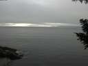 ./images/koeye/fitz-hugh/20200903/fitz-hugh20200903_175501.jpg