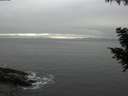 ./images/koeye/fitz-hugh/20200903/fitz-hugh20200903_180501.jpg