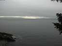 ./images/koeye/fitz-hugh/20200903/fitz-hugh20200903_181001.jpg