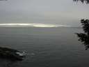 ./images/koeye/fitz-hugh/20200903/fitz-hugh20200903_181501.jpg