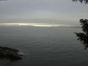 ./images/koeye/fitz-hugh/20200903/fitz-hugh20200903_182001.jpg