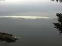 ./images/koeye/fitz-hugh/20200903/fitz-hugh20200903_182501.jpg