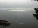 ./images/koeye/fitz-hugh/20200903/fitz-hugh20200903_184001.jpg