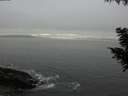 ./images/koeye/fitz-hugh/20200903/fitz-hugh20200903_185001.jpg
