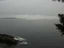 ./images/koeye/fitz-hugh/20200903/fitz-hugh20200903_185501.jpg