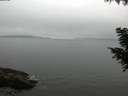 ./images/koeye/fitz-hugh/20200903/fitz-hugh20200903_190501.jpg