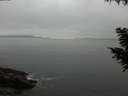 ./images/koeye/fitz-hugh/20200903/fitz-hugh20200903_191502.jpg