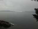 ./images/koeye/fitz-hugh/20200903/fitz-hugh20200903_192502.jpg