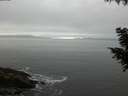 ./images/koeye/fitz-hugh/20200903/fitz-hugh20200903_193502.jpg