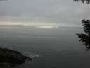 ./images/koeye/fitz-hugh/20200903/fitz-hugh20200903_194002.jpg