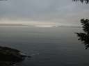 ./images/koeye/fitz-hugh/20200903/fitz-hugh20200903_194502.jpg