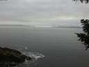 ./images/koeye/fitz-hugh/20200903/fitz-hugh20200903_200502.jpg