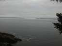 ./images/koeye/fitz-hugh/20200903/fitz-hugh20200903_201002.jpg