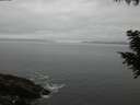 ./images/koeye/fitz-hugh/20200903/fitz-hugh20200903_201501.jpg