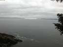 ./images/koeye/fitz-hugh/20200903/fitz-hugh20200903_202001.jpg