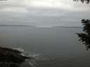 ./images/koeye/fitz-hugh/20200903/fitz-hugh20200903_202501.jpg
