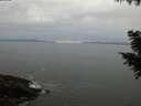 ./images/koeye/fitz-hugh/20200903/fitz-hugh20200903_203501.jpg