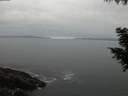 ./images/koeye/fitz-hugh/20200903/fitz-hugh20200903_204001.jpg