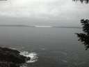 ./images/koeye/fitz-hugh/20200903/fitz-hugh20200903_204501.jpg