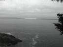 ./images/koeye/fitz-hugh/20200903/fitz-hugh20200903_205001.jpg