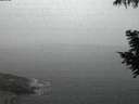 ./images/koeye/fitz-hugh/20200904/fitz-hugh20200904_061001.jpg