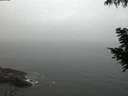 ./images/koeye/fitz-hugh/20200904/fitz-hugh20200904_061502.jpg