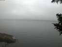 ./images/koeye/fitz-hugh/20200904/fitz-hugh20200904_062001.jpg