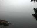 ./images/koeye/fitz-hugh/20200904/fitz-hugh20200904_062501.jpg
